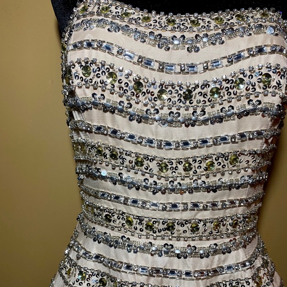 Terani Mini Dress - Picture 3 of 8